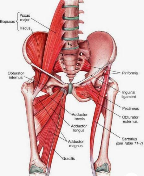 Tight or Sore Hips What Causes Them How to Fix It