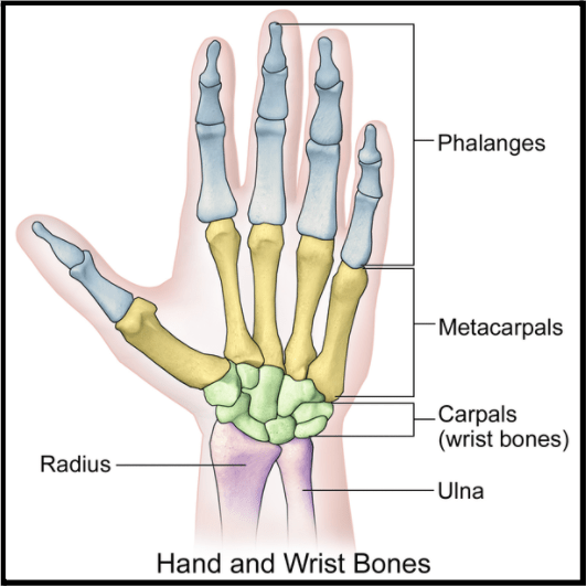 How to fix your hand and wrist pain with physiotherapy